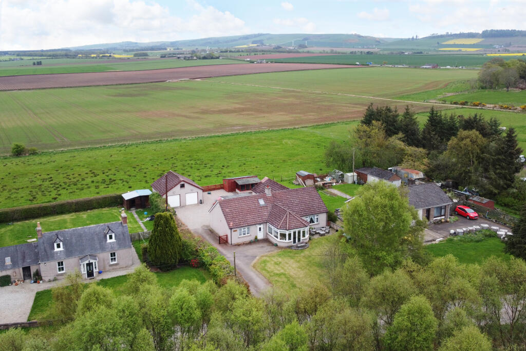 Primary image of Phoenix, Caldhame, Laurencekirk