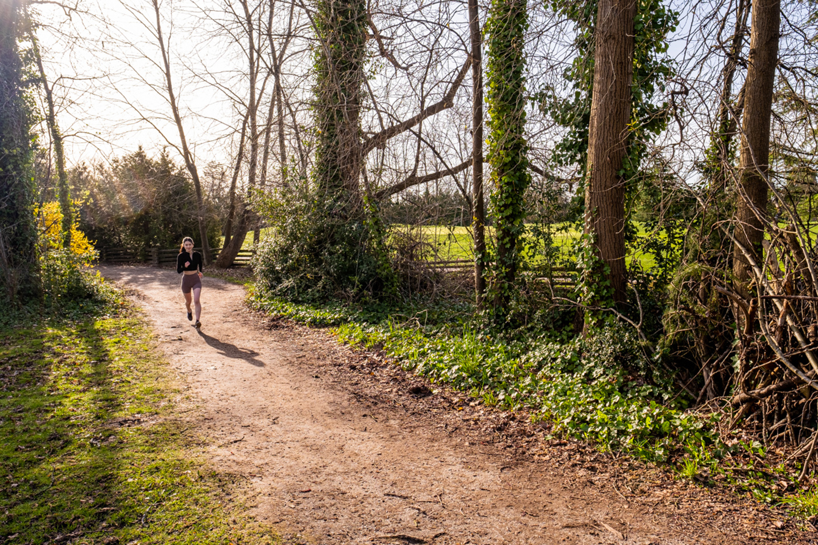 Additional image 13 of Savannah