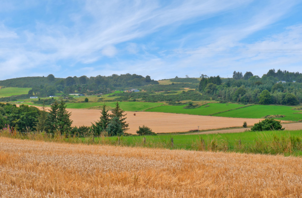 Additional image 24 of Elphinstone Cottages, Old Rayne, Insch, Aberdeenshire