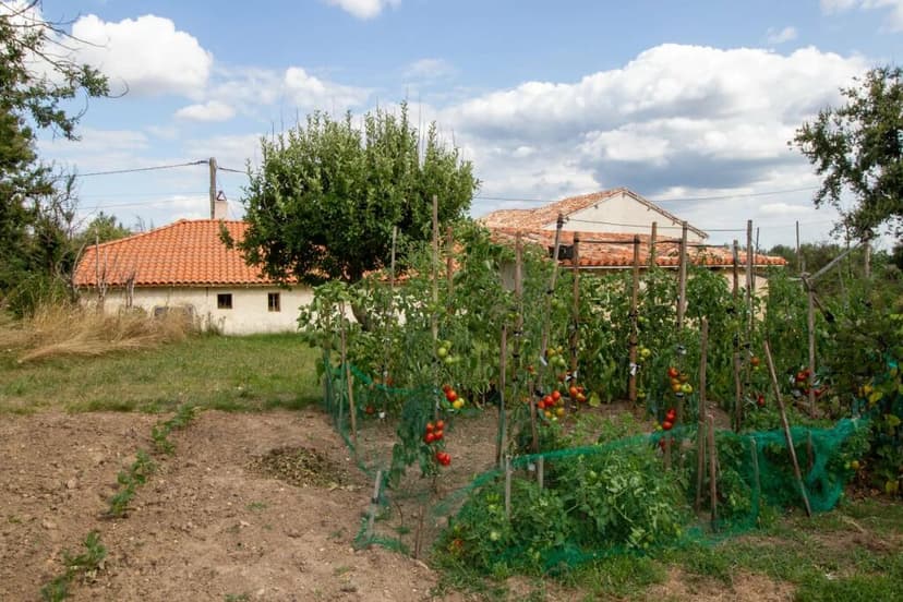 Additional image 2 of Aquitaine, Dordogne, Vanxains, France