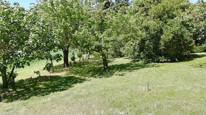 Additional image 3 of Languedoc-Roussillon, Aude, Labastide-d'Anjou, France