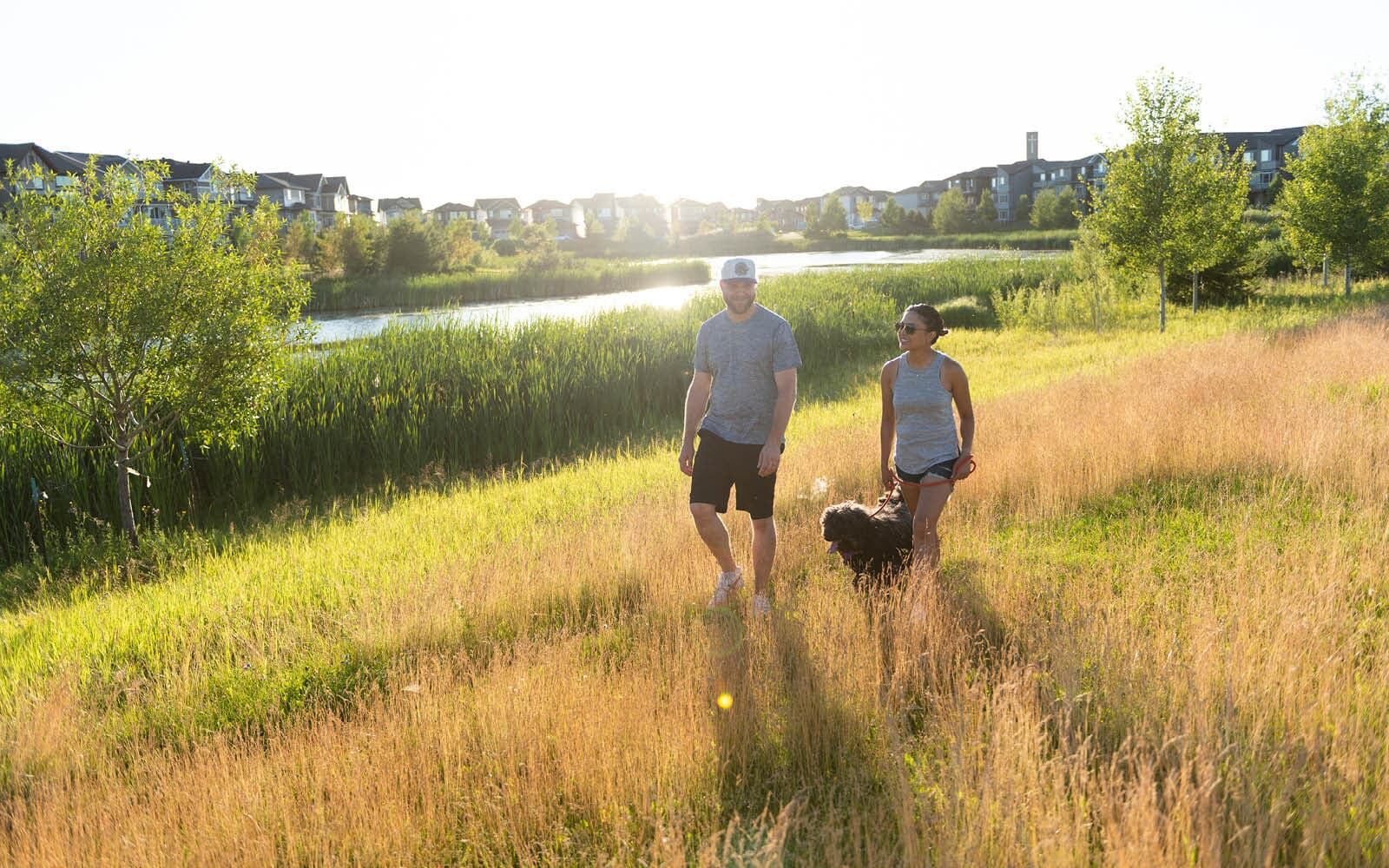 Additional image 6 of Laned Collection at Paisley