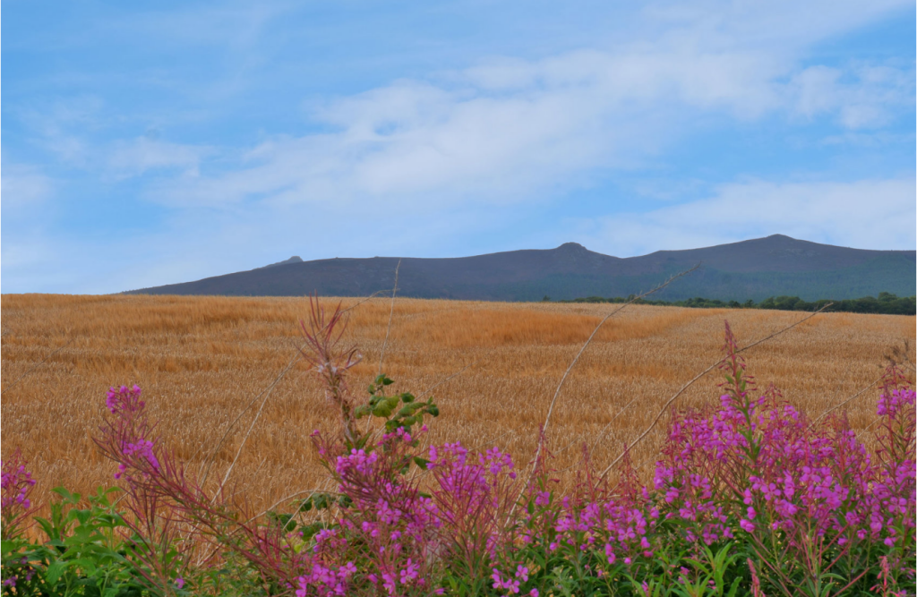 Additional image 18 of Elphinstone Cottages, Old Rayne, Insch, Aberdeenshire