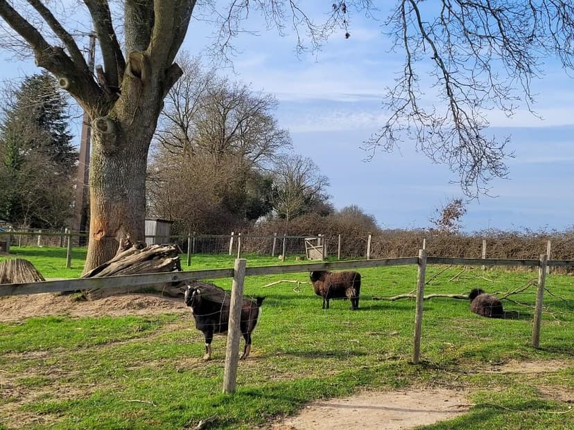 Additional image 3 of Ceaucé, Orne, Normandy, France