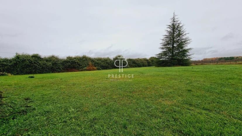 Additional image 2 of Aquitaine, Gironde, Blasimon, France