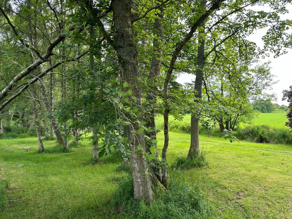 Additional image 47 of Rhynie, Druminnor, AB54