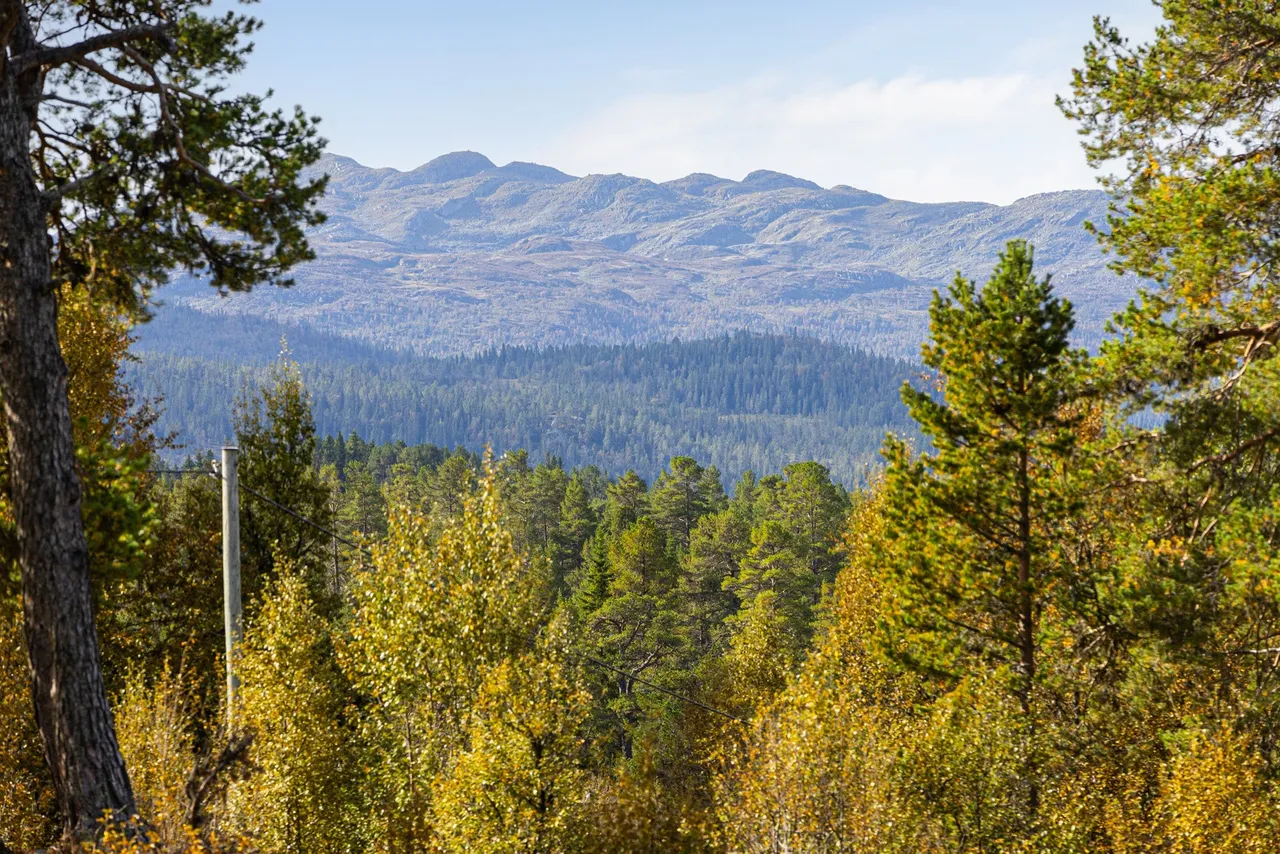 Additional image 2 of Furuvegen 6, 3864 Rauland