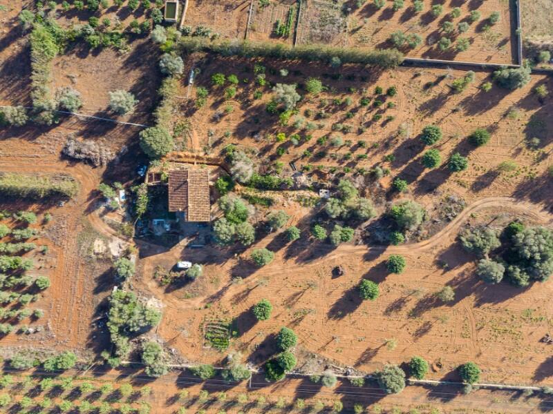 Additional image 3 of Balearic Islands, Mallorca, Consell, Spain