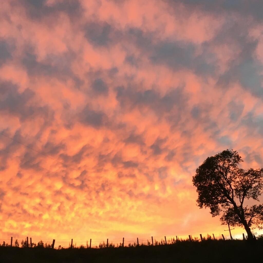 Additional image 35 of Drummuir, Keith