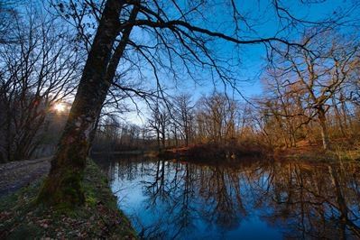 Additional image 3 of Route de Limoges 1, 63870 Orcines, France