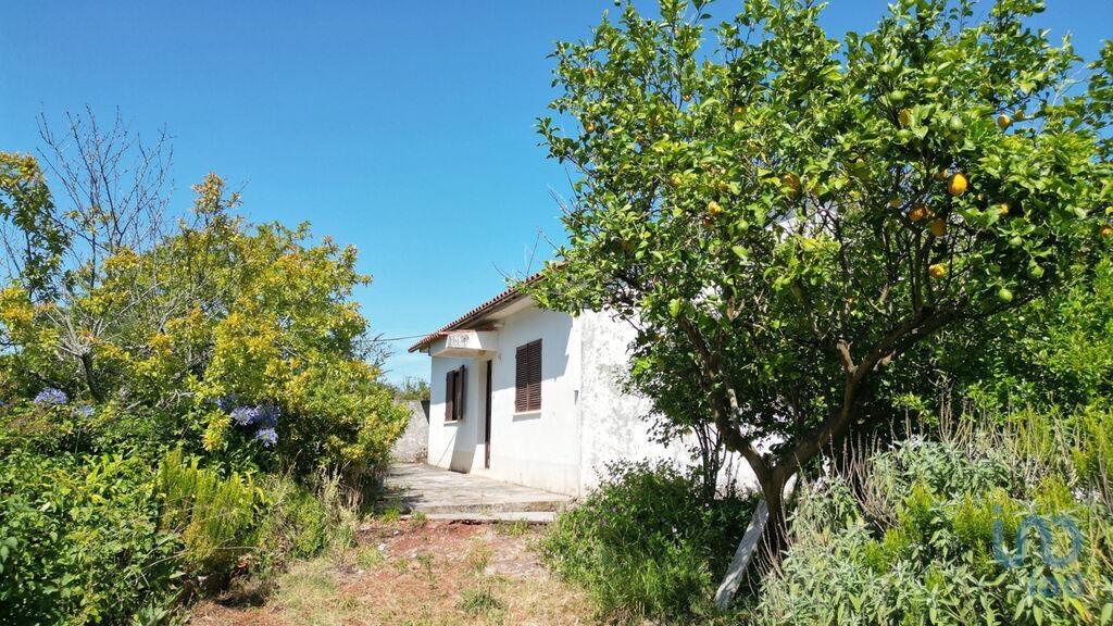 Additional image 3 of Beira Litoral, Rabaçal, Portugal