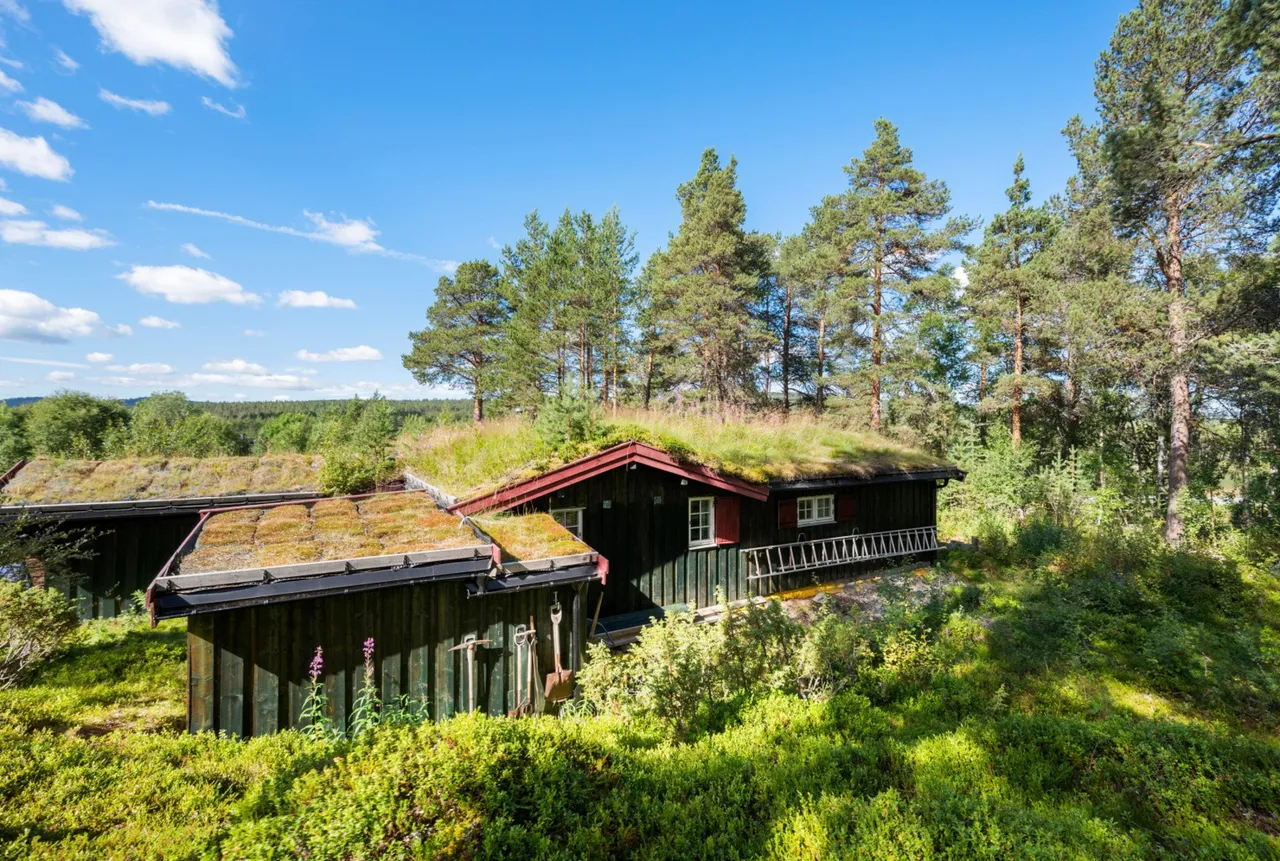 Additional image 3 of Rørosveien 4149, 2550 Os i Østerdalen