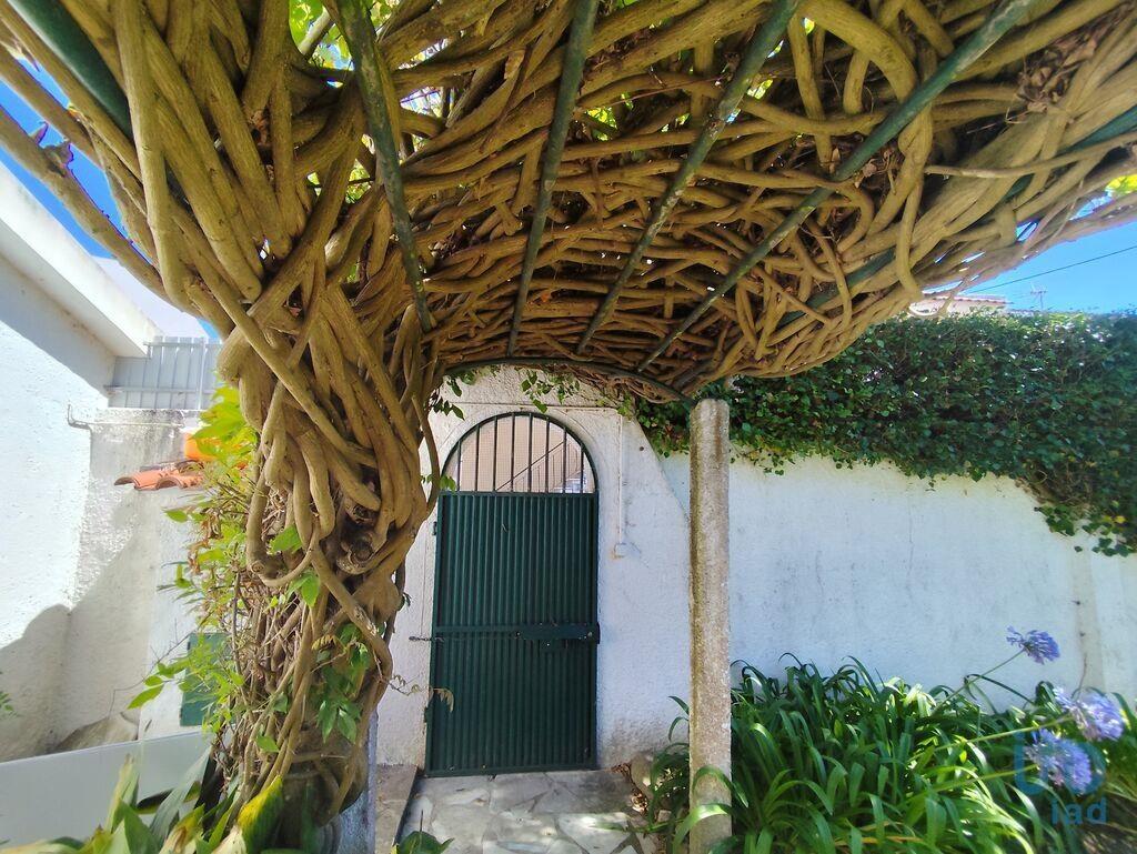 Additional image 3 of Leiria, Bombarral, Portugal