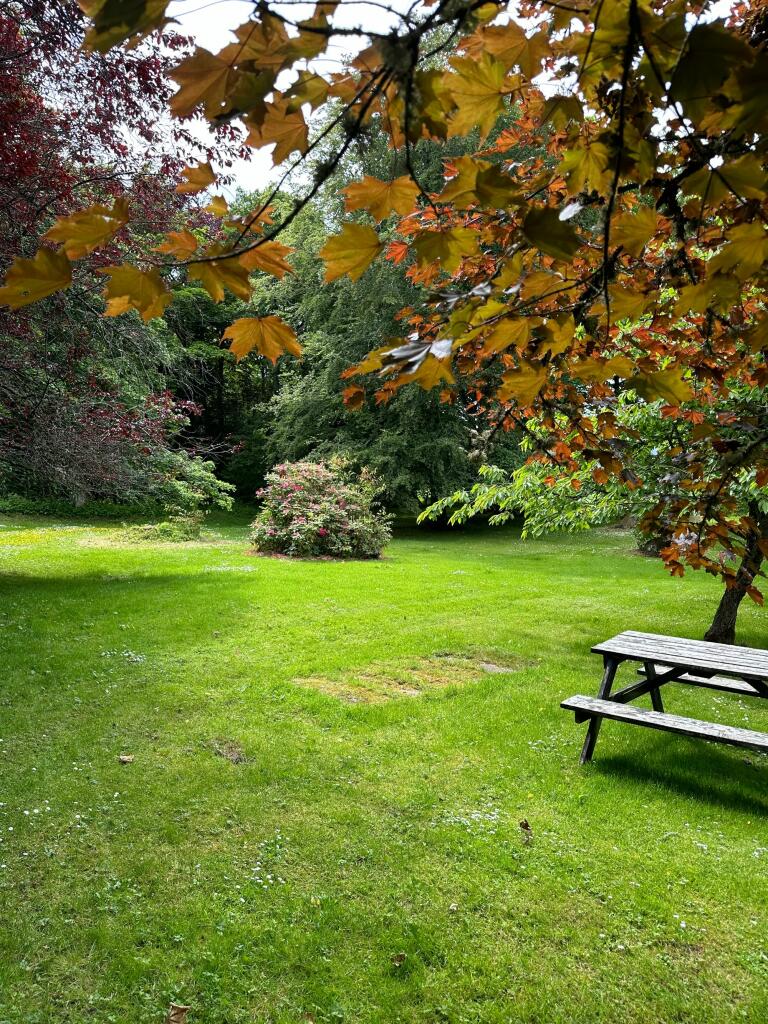 Additional image 23 of Rhynie, Druminnor, AB54