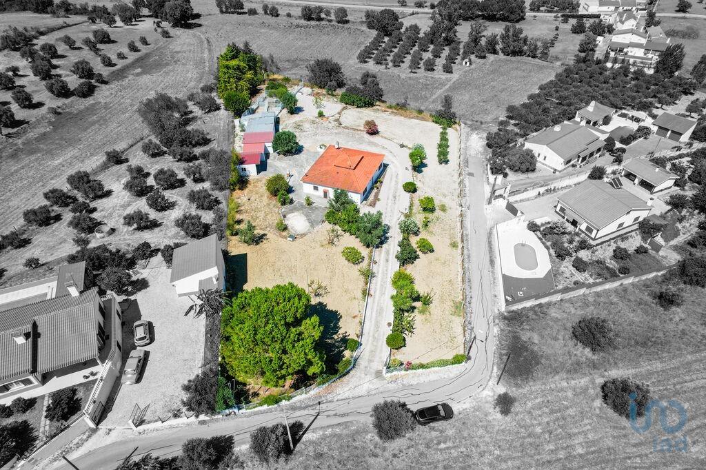 Additional image 2 of Ribatejo, Santarém, Portugal