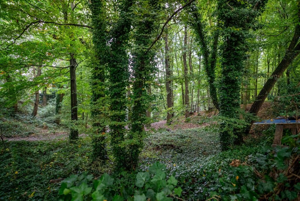 Additional image 11 of Beech Road, St. Albans, Hertfordshire, AL3