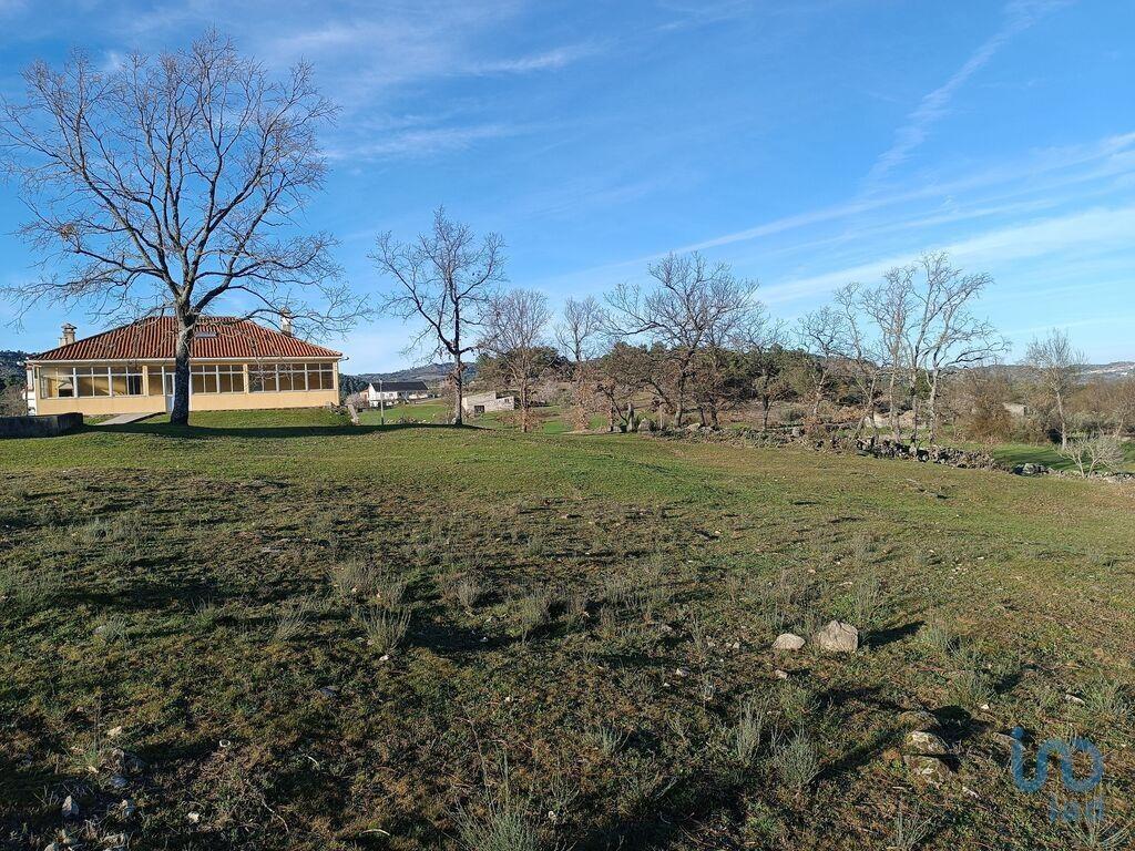 Additional image 3 of Beira Alta, Meda, Portugal