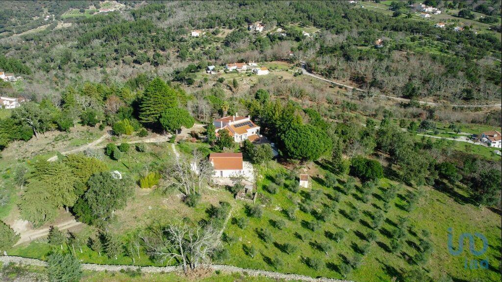 Additional image 2 of Alto Alentejo, Nisa, Portugal