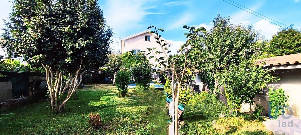 Additional image 3 of Minho, Seixas, Portugal