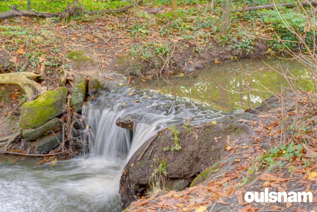 Additional image 25 of Middlepark Drive, Northfield, Birmingham, B31