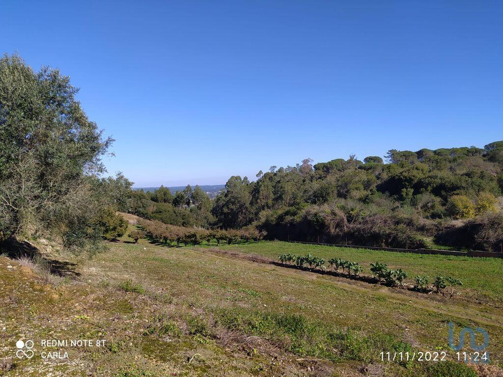 Additional image 3 of Leiria, Alcobaça, Portugal