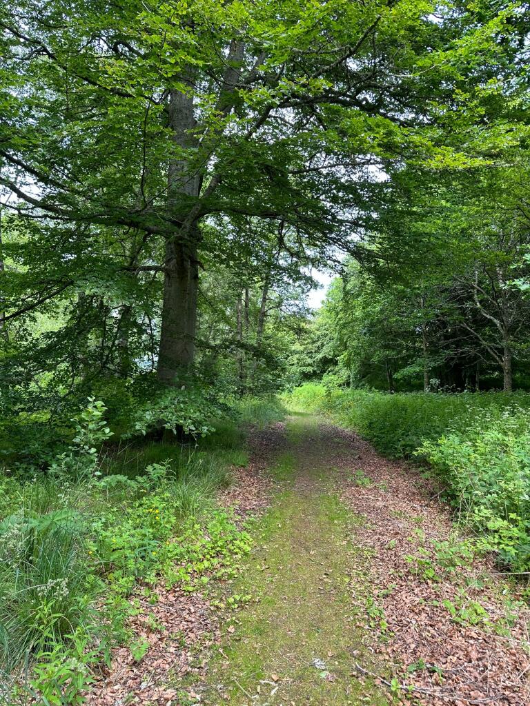 Additional image 49 of Rhynie, Druminnor, AB54