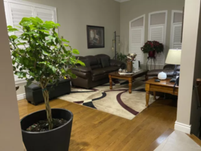 Additional image 3 of 37 Wicker Dr