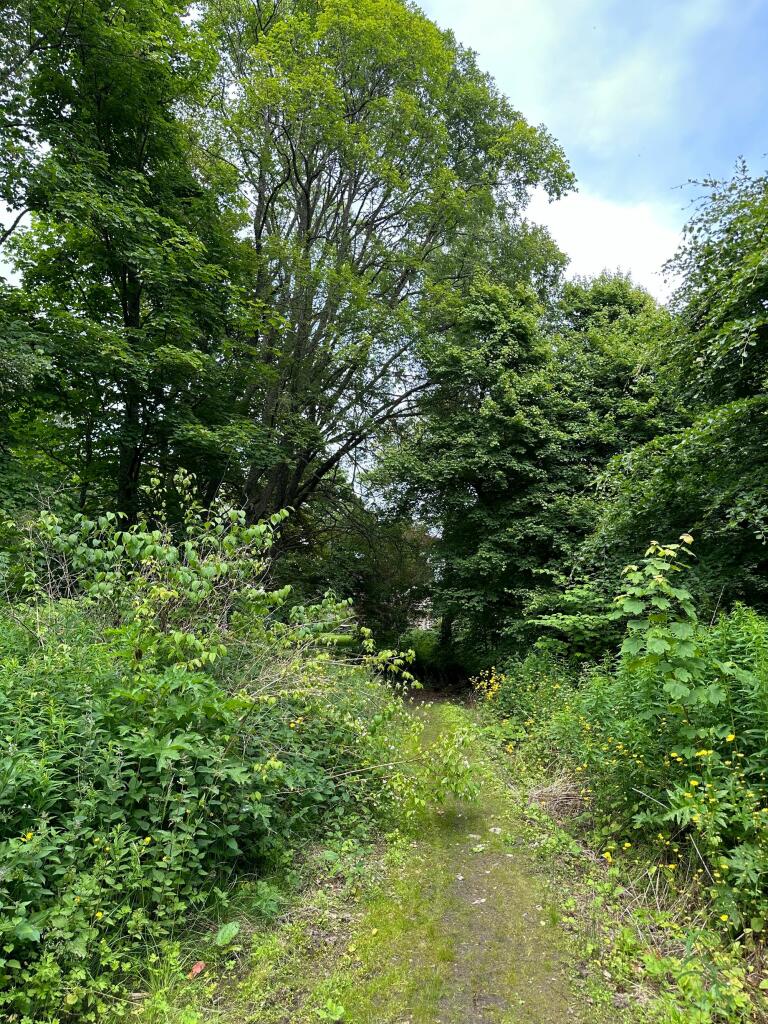 Additional image 50 of Rhynie, Druminnor, AB54