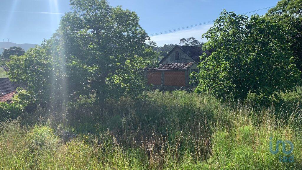 Additional image 2 of Minho, Tangil, Portugal