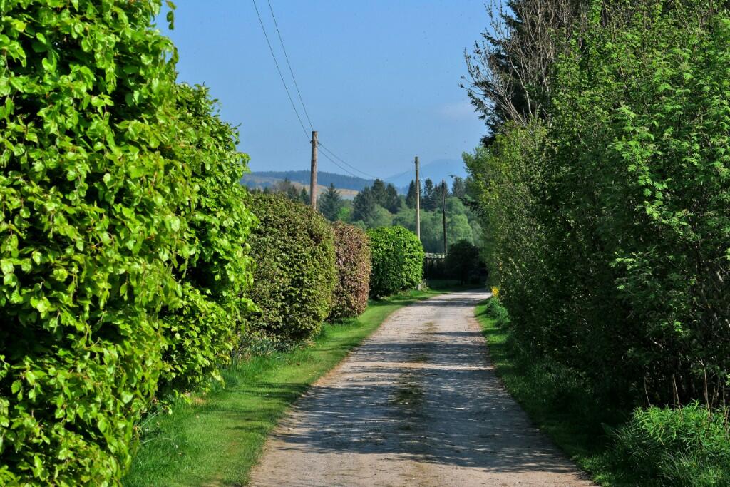 Additional image 31 of (Lot 1) Newmill, Lumsden, AB54 4LB