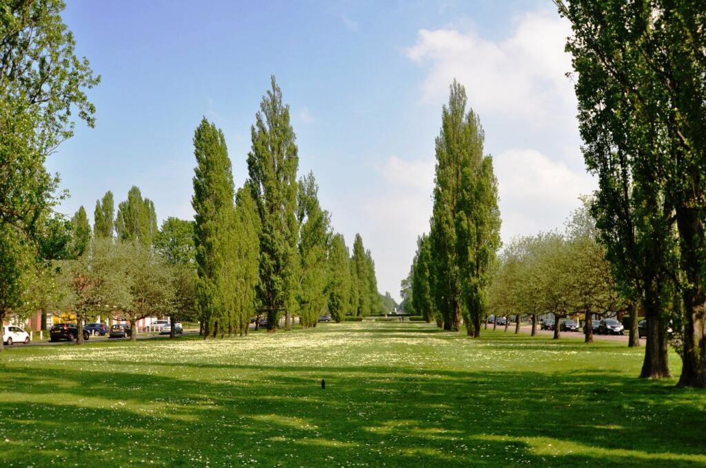 Additional image 20 of Bessemer Road, WELWYN GARDEN CITY, AL7