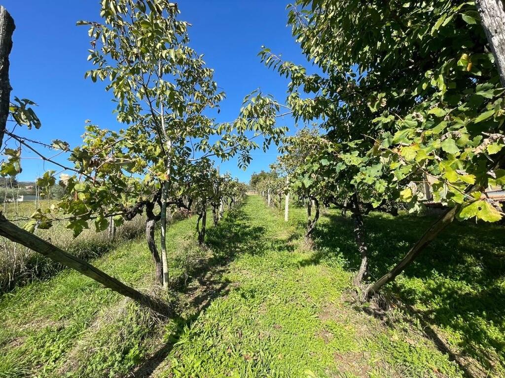 Additional image 2 of Alvito, Frosinone, Lazio, Italy