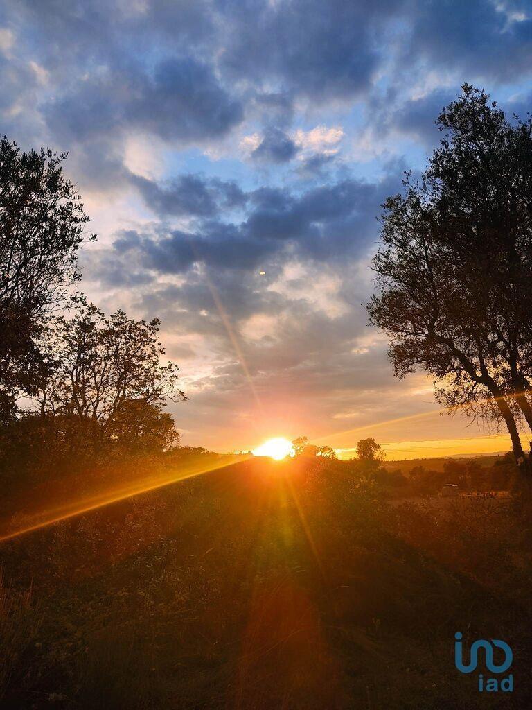 Additional image 3 of Beira Alta, Celorico da Beira, Portugal