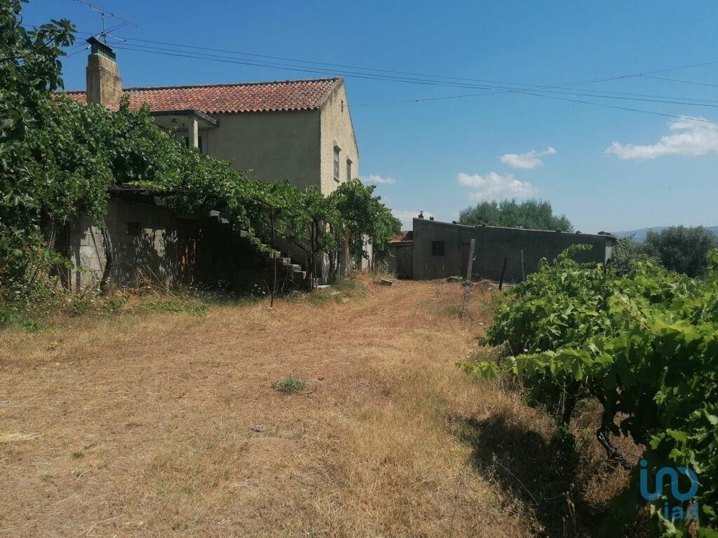 Additional image 3 of Beira Alta, Gouveia, Portugal