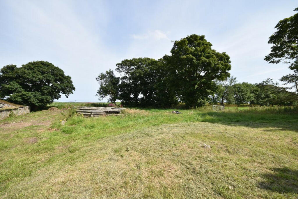 Additional image 5 of BOGHEAD, MINTLAW, AB42