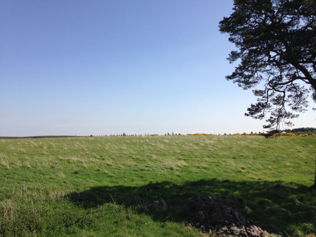 Additional image 6 of Backhill Of Drumblair, Forgue, Huntly, Aberdeenshire, AB54