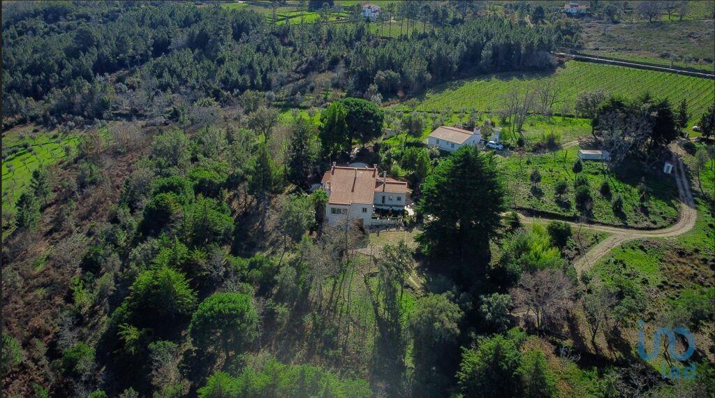 Additional image 3 of Alto Alentejo, Nisa, Portugal