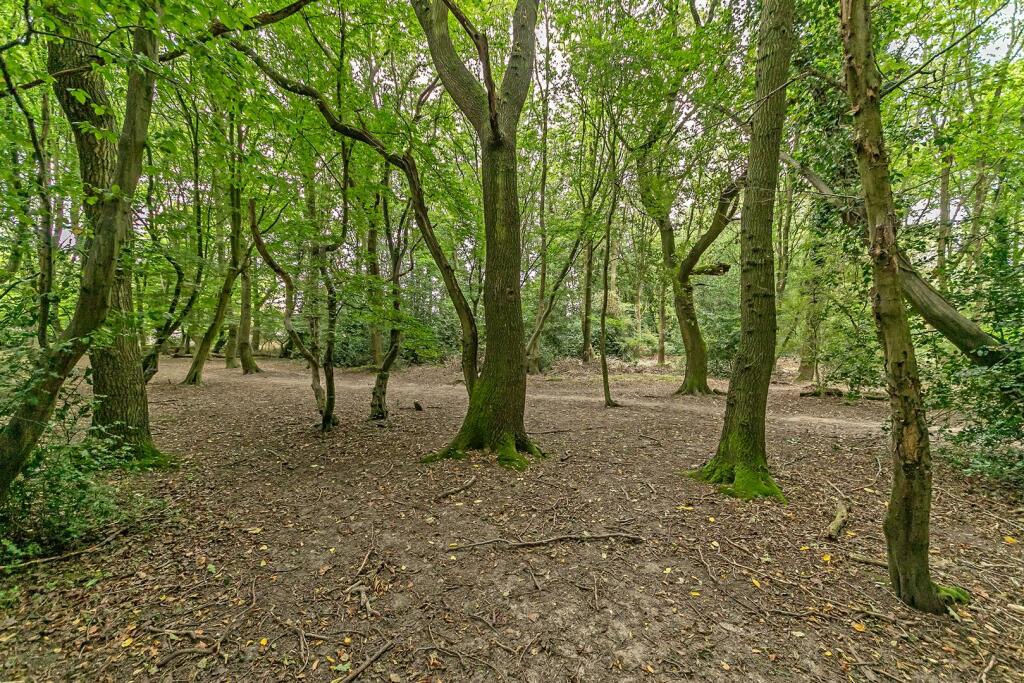 Additional image 18 of Bucknalls Drive, Bricket Wood, St. Albans