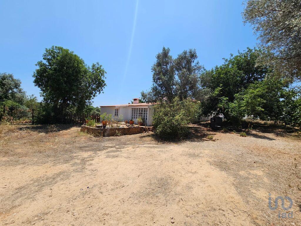 Primary image of Algarve, Silves, Portugal