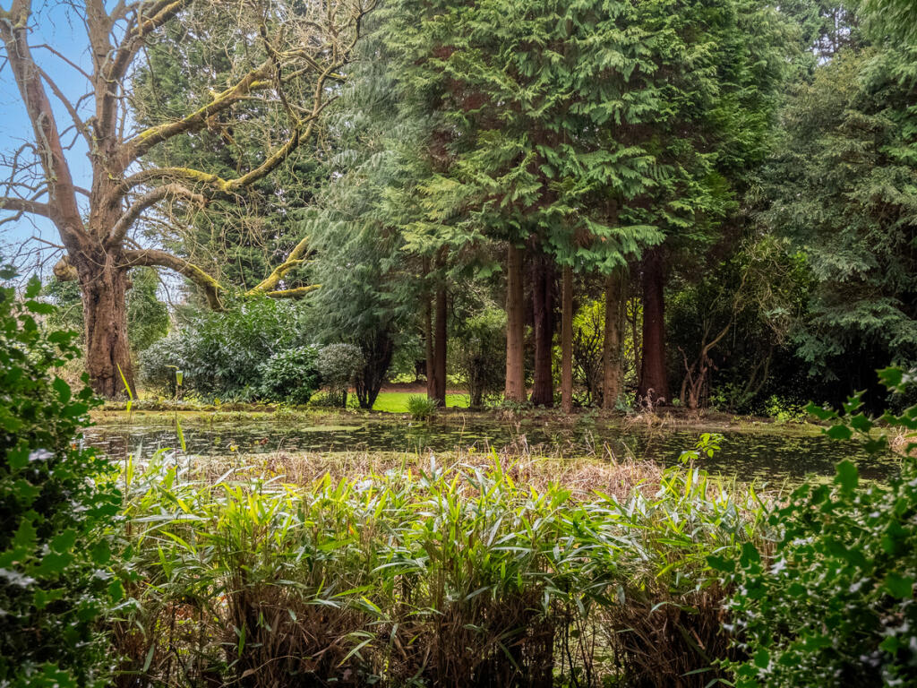 Additional image 46 of Westbourne Road Edgbaston Birmingham, West Midlands, B15 3TR