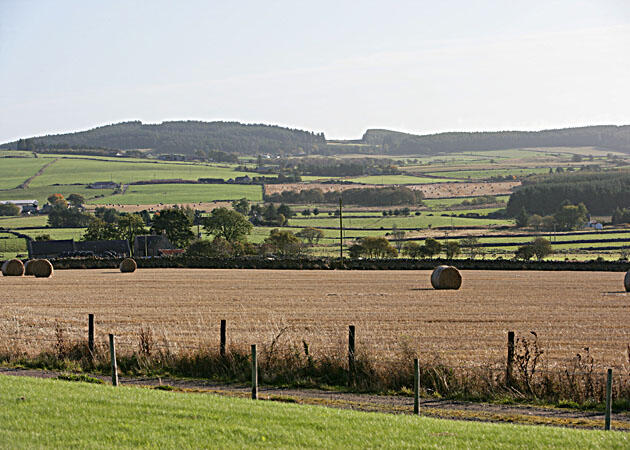 Additional image 12 of The Cottages, Hillhead of Carnie, Skene, Westhill, AB32