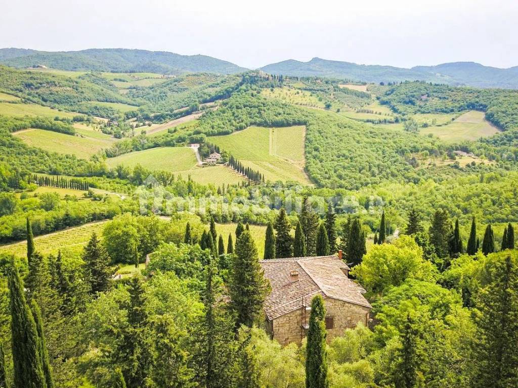 Additional image 2 of Le Noci S.N.C., Radda in Chianti