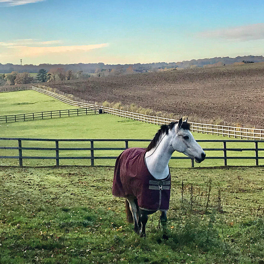 Additional image 12 of Rabley Heath,
Codicote,
Welwyn,
AL6 9UG