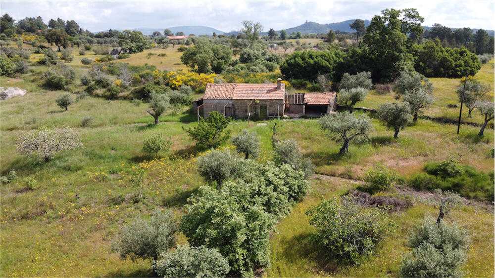 Primary image of Beira Baixa, Penamacor, Portugal