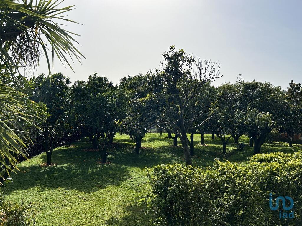 Additional image 3 of Minho, Barcelos, Portugal