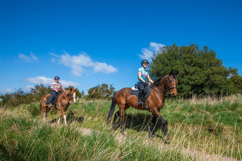 Additional image 16 of 1 Fifeshill Drive, Countesswells, Aberdeen, 
AB15 8UR