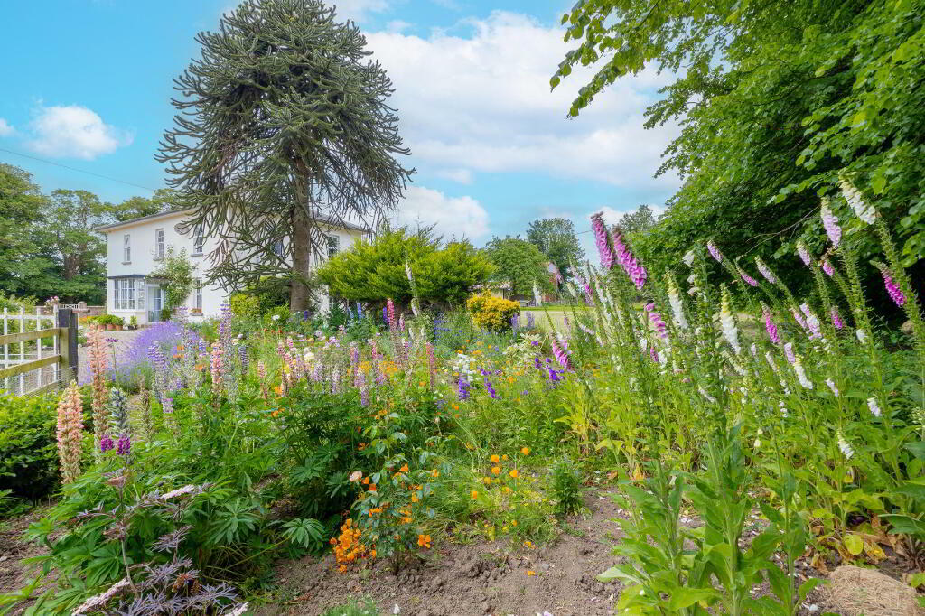 Additional image 2 of Deerpark, Carrick-On-Suir, Ireland