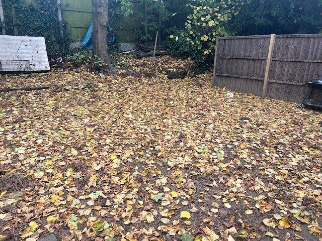 Additional image 7 of Ellerside Grove, BIRMINGHAM, West Midlands, B31