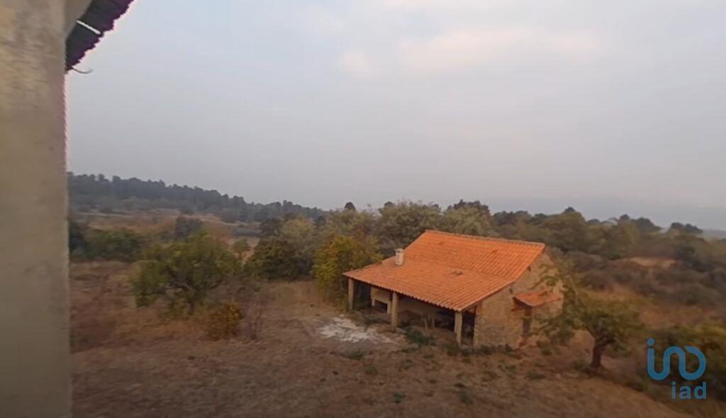 Additional image 3 of Beira Alta, Moimenta da Beira, Portugal