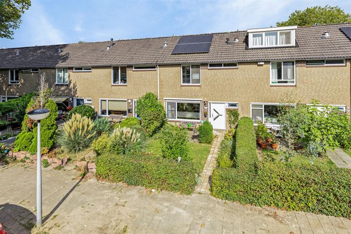 Zwammerdampad 11, 6843 LT Arnhem